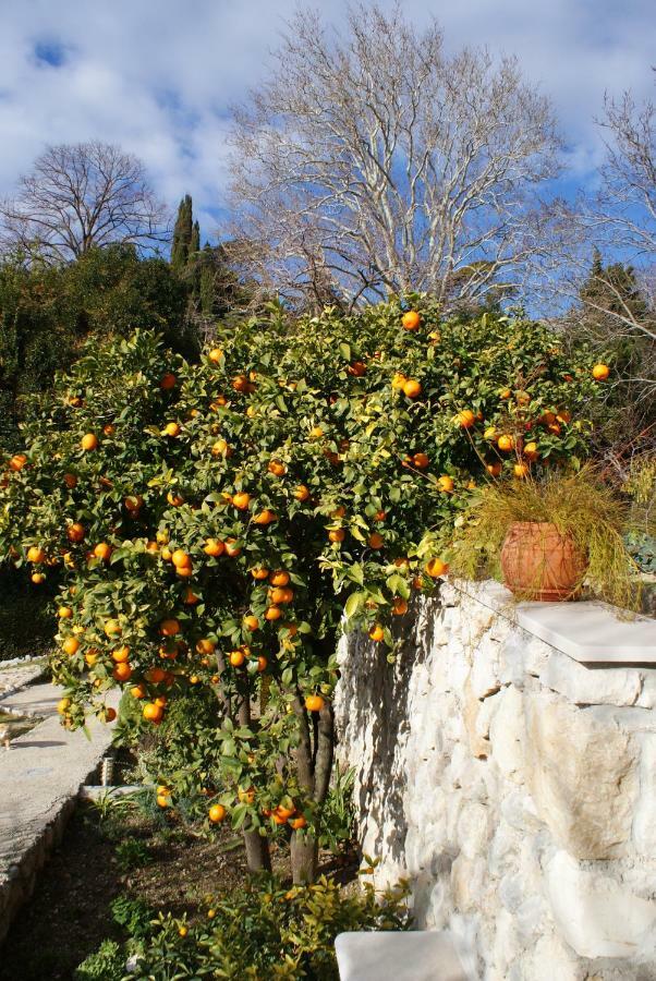 트르스테노 Three Oranges 아파트 외부 사진